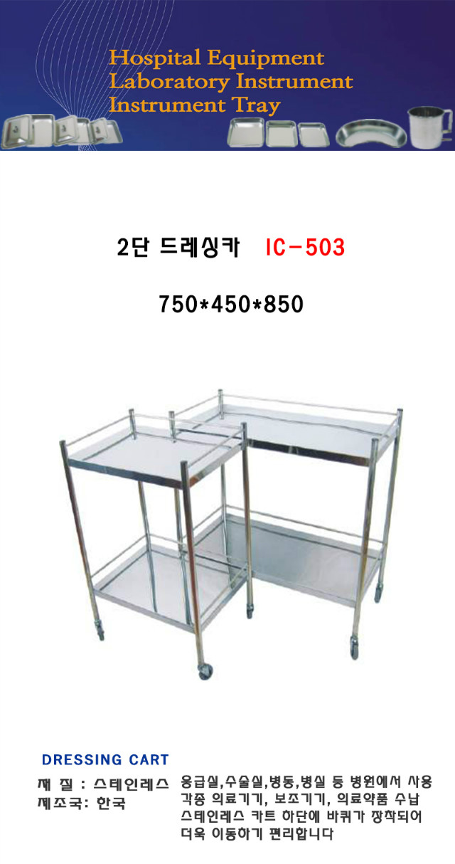IC503_p.jpg